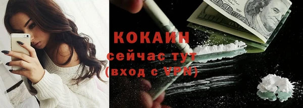 МДПВ Семилуки
