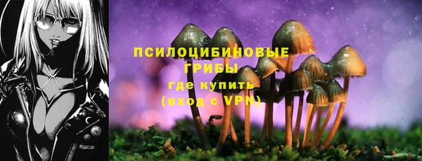 кокс Баксан